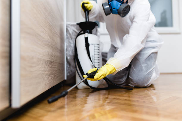 Professional Pest Control in Frisco, TX