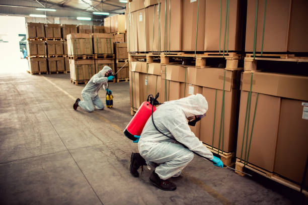 Best Flea Control Services  in Frisco, TX