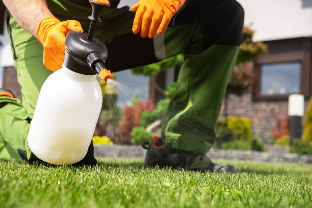 Pest Prevention Services in Frisco, TX