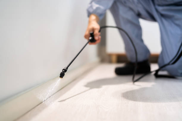 Pest Control Cost in Frisco, TX